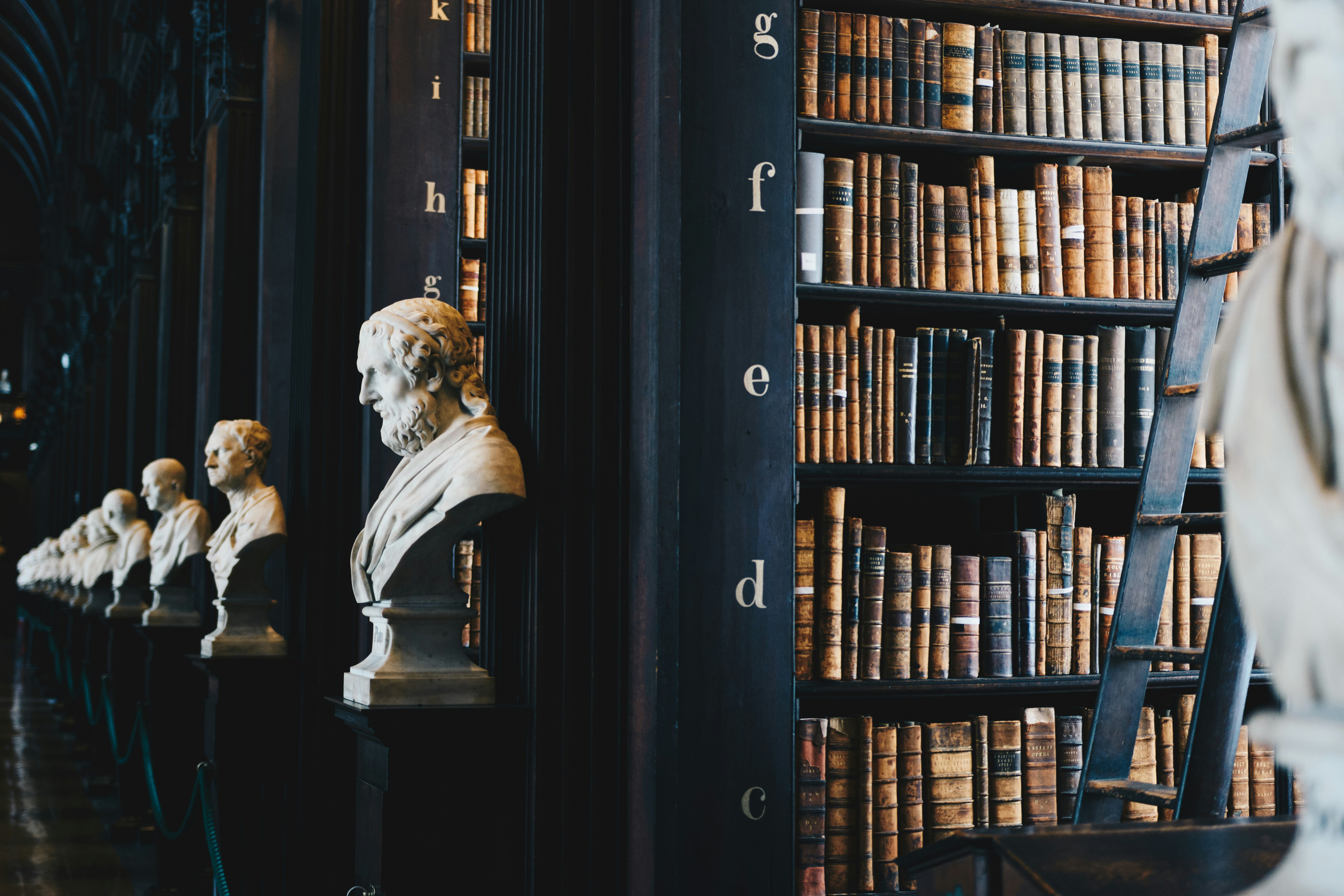 Historic law library with leather-bound books and marble busts